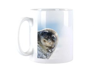 Carina_Motiv6_580x445px