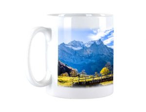 Carina_Motiv7_580x445px