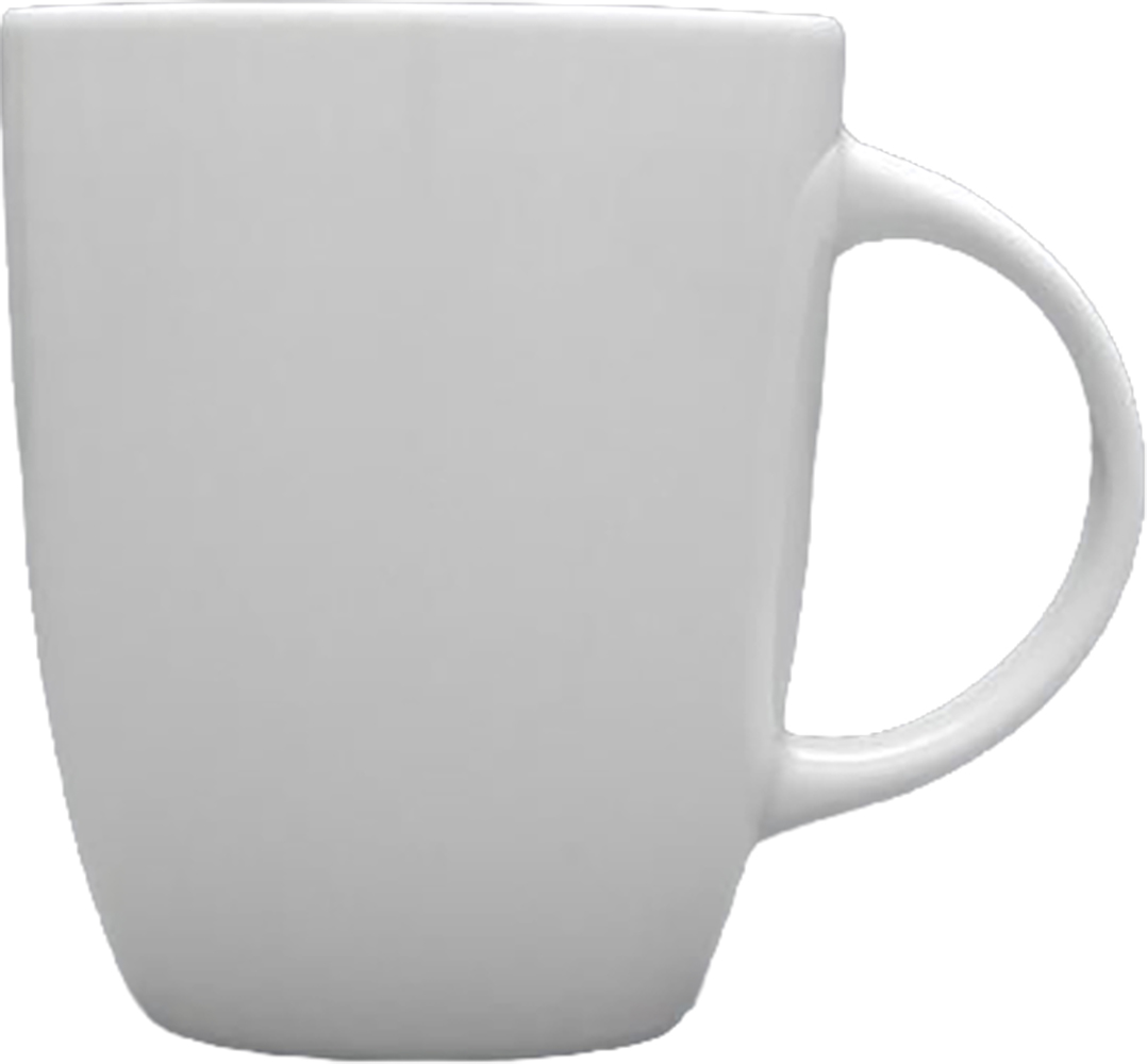 Fina